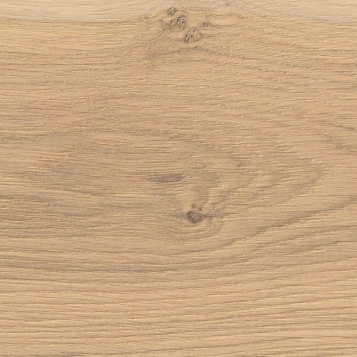 Floorin põrandad - Tamm 2V Puro White Universal brushed õli