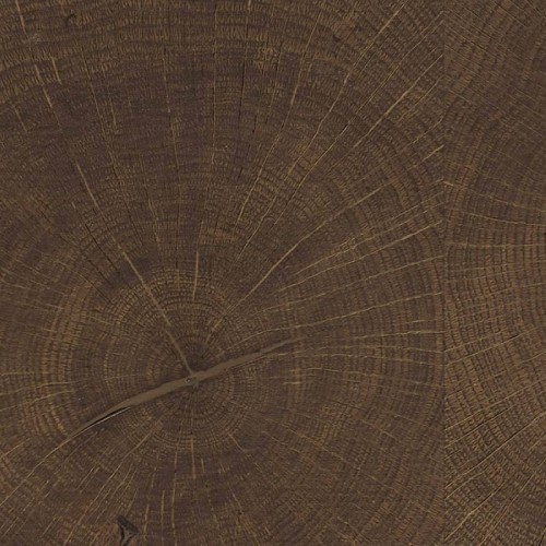 Floorin põrandad - Tamm Antique Brown Selectiv õli